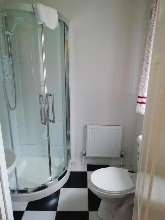 John Street Guest House Kilkenny Bagian luar foto